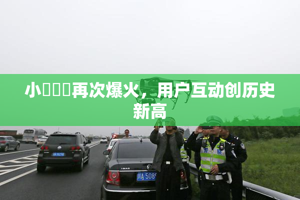 小藍視頻再次爆火，用户互动创历史新高