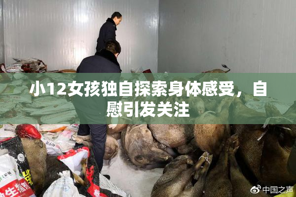 小12女孩独自探索身体感受，自慰引发关注
