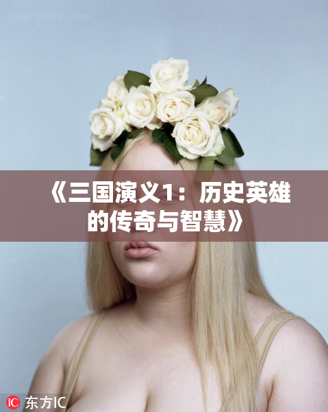 《三国演义1：历史英雄的传奇与智慧》