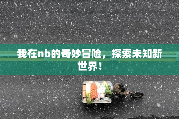 我在nb的奇妙冒险，探索未知新世界！