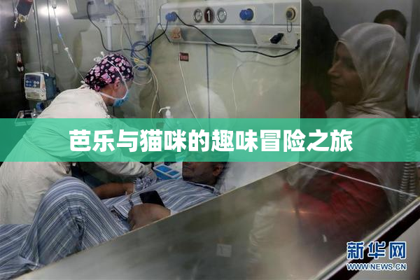 芭乐与猫咪的趣味冒险之旅
