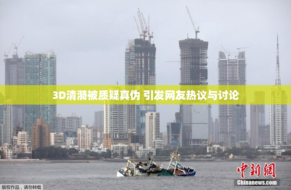 3D清漪被质疑真伪 引发网友热议与讨论