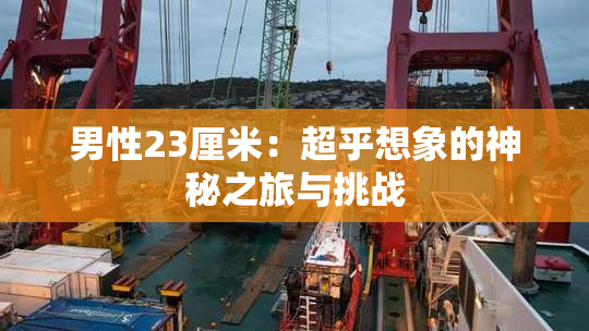 男性23厘米：超乎想象的神秘之旅与挑战