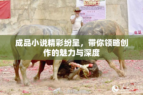 成品小说精彩纷呈，带你领略创作的魅力与深度