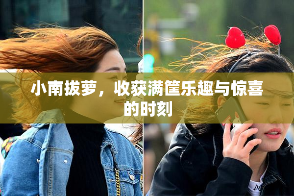 小南拔萝，收获满筐乐趣与惊喜的时刻