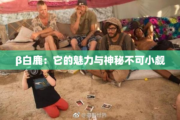 β白鹿：它的魅力与神秘不可小觑