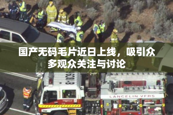 国产无码毛片近日上线，吸引众多观众关注与讨论