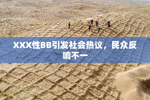 XXX性BB引发社会热议，民众反响不一