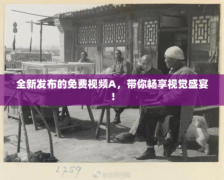 全新发布的免费视频A，带你畅享视觉盛宴！
