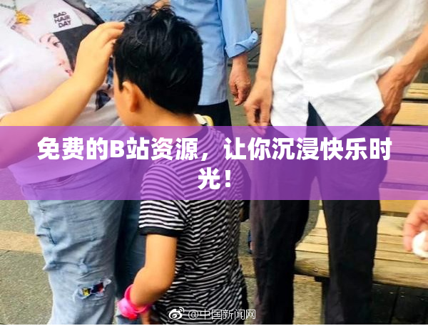 免费的B站资源，让你沉浸快乐时光！