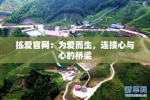 拣爱官网：为爱而生，连接心与心的桥梁