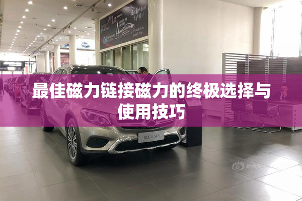最佳磁力链接磁力的终极选择与使用技巧