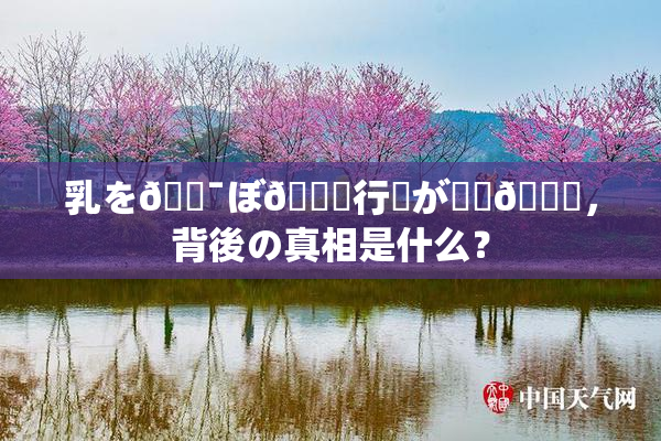 乳を🔯ぼ🌃行為が話題🎆，背後の真相是什么？