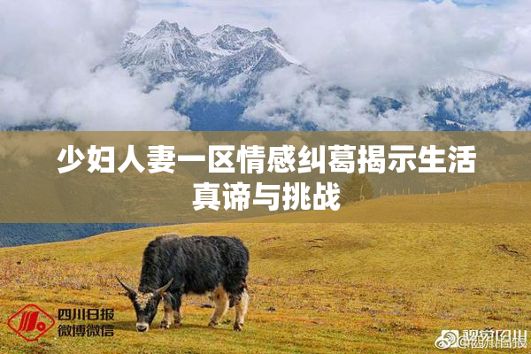 少妇人妻一区情感纠葛揭示生活真谛与挑战