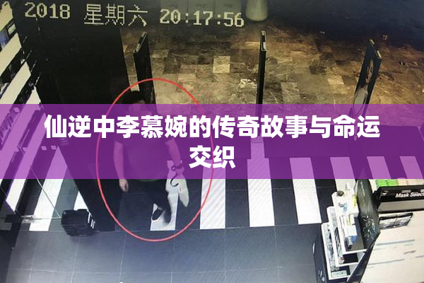 仙逆中李慕婉的传奇故事与命运交织