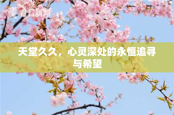 天堂久久，心灵深处的永恒追寻与希望