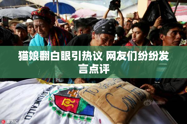 猫娘翻白眼引热议 网友们纷纷发言点评