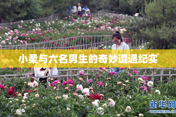 小柔与六名男生的奇妙遭遇纪实