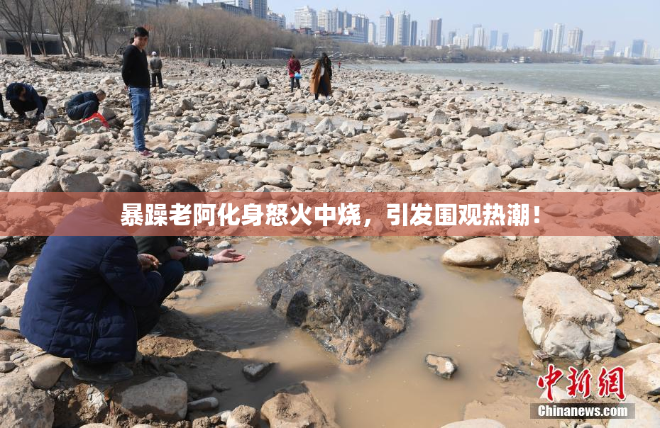 暴躁老阿化身怒火中烧，引发围观热潮！