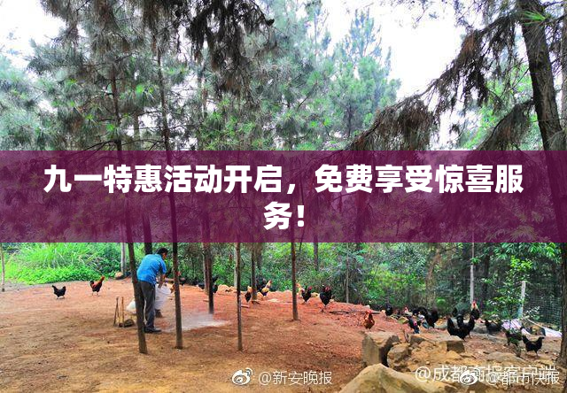九一特惠活动开启，免费享受惊喜服务！