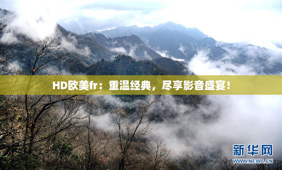 HD欧美fr：重温经典，尽享影音盛宴！