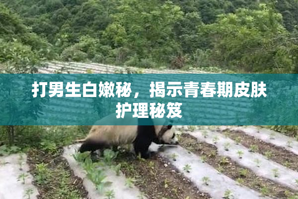 打男生白嫩秘，揭示青春期皮肤护理秘笈