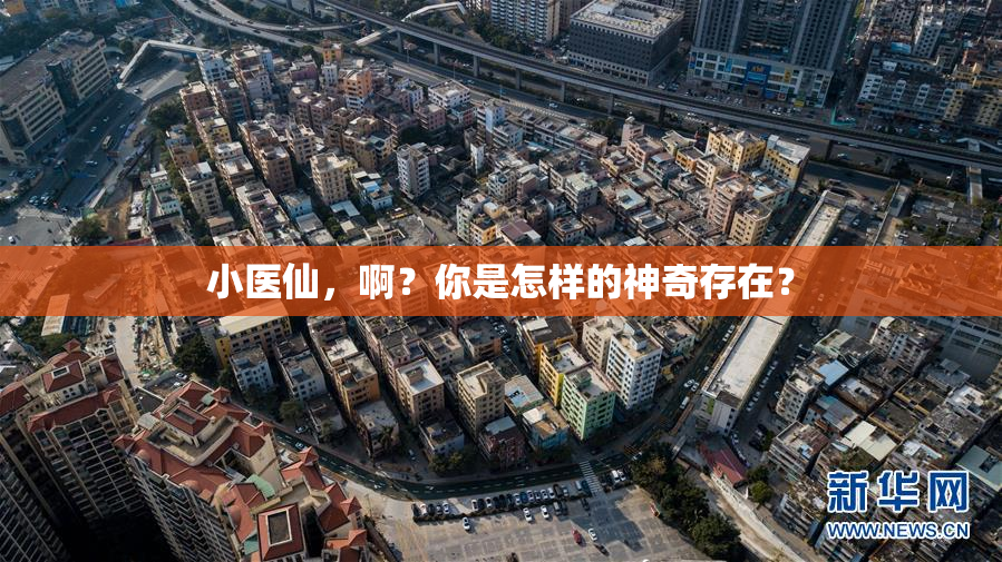 小医仙，啊？你是怎样的神奇存在？