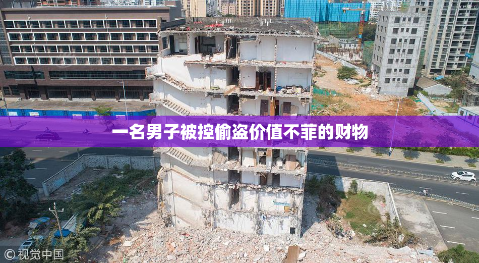 一名男子被控偷盗价值不菲的财物