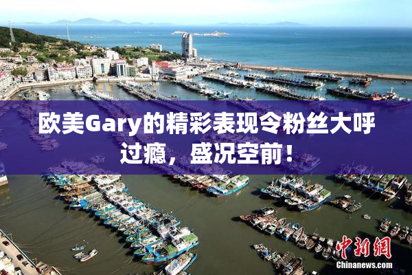 欧美Gary的精彩表现令粉丝大呼过瘾，盛况空前！