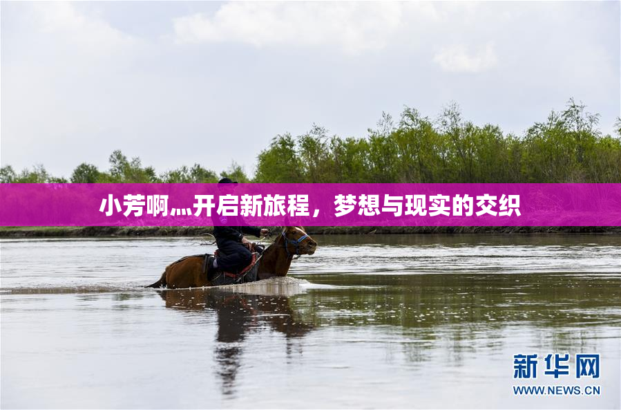 小芳啊灬开启新旅程，梦想与现实的交织
