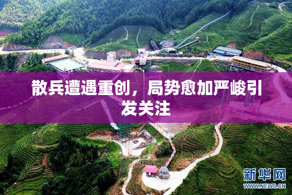 散兵遭遇重创，局势愈加严峻引发关注