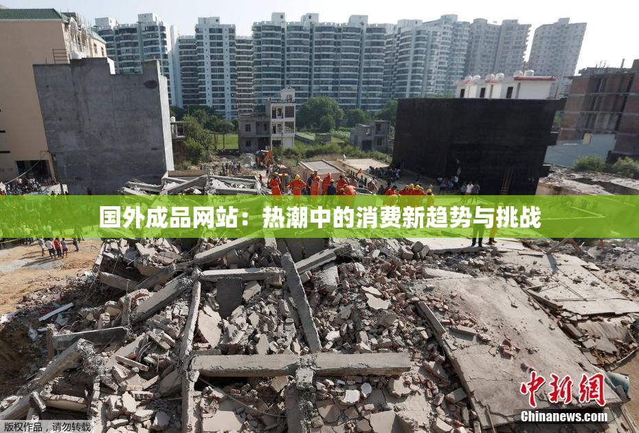 国外成品网站：热潮中的消费新趋势与挑战