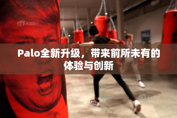 Palo全新升级，带来前所未有的体验与创新