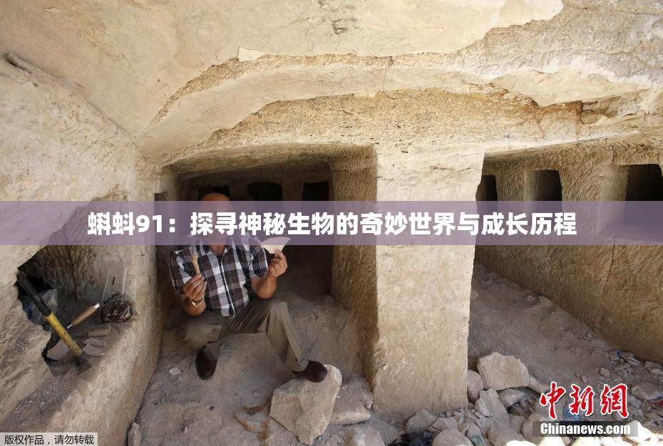 蝌蚪91：探寻神秘生物的奇妙世界与成长历程