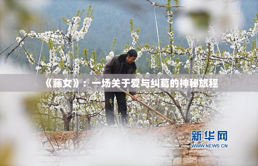 《藤女》：一场关于爱与纠葛的神秘旅程