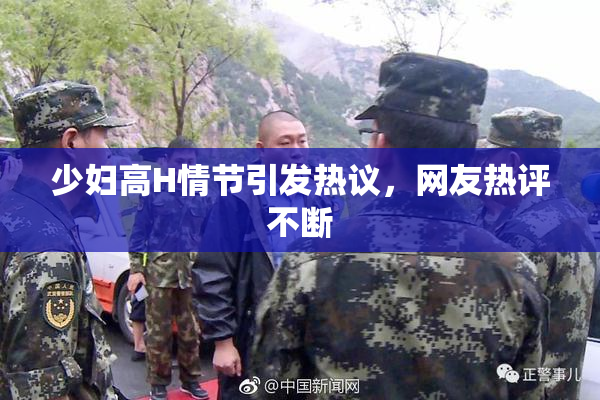 少妇高H情节引发热议，网友热评不断