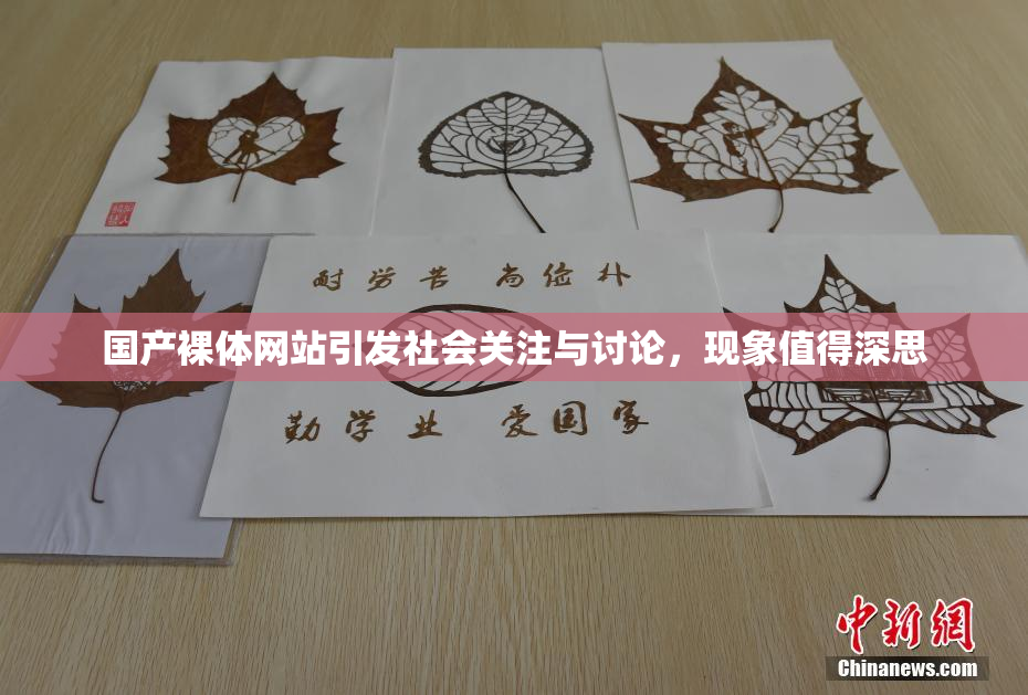 国产裸体网站引发社会关注与讨论，现象值得深思