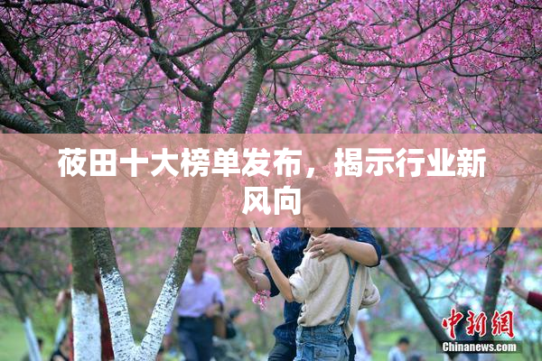 莜田十大榜单发布，揭示行业新风向