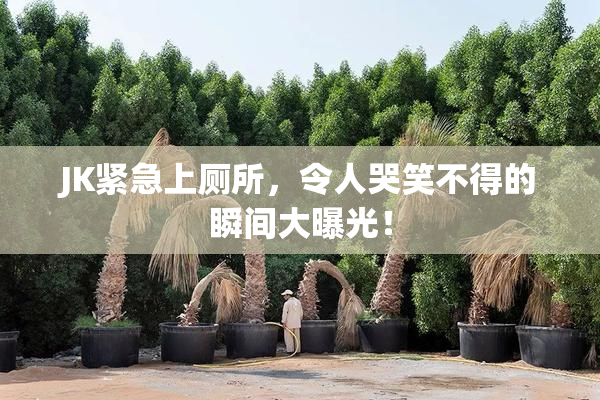 JK紧急上厕所，令人哭笑不得的瞬间大曝光！