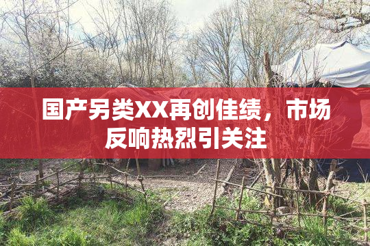 国产另类XX再创佳绩，市场反响热烈引关注