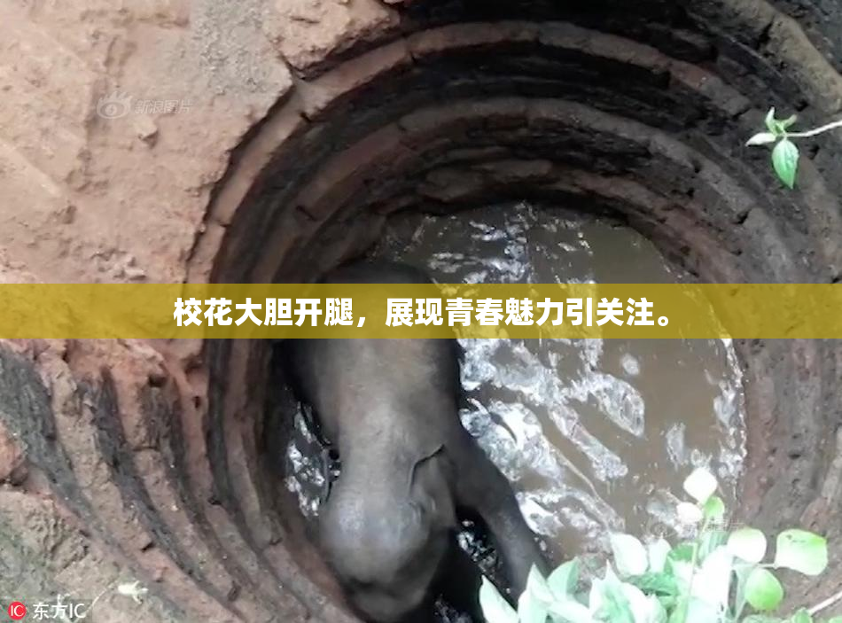 校花大胆开腿，展现青春魅力引关注。
