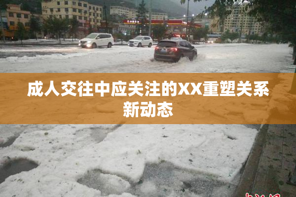 成人交往中应关注的XX重塑关系新动态