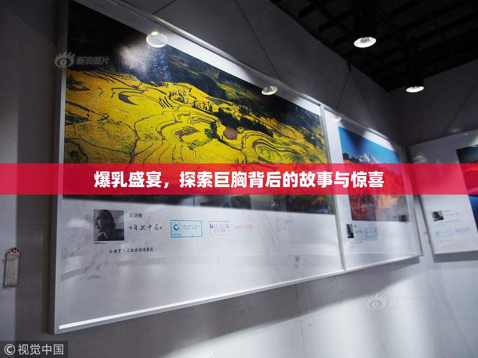 爆乳盛宴，探索巨胸背后的故事与惊喜
