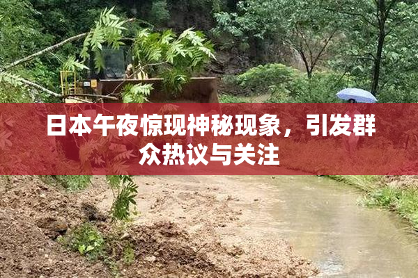 日本午夜惊现神秘现象，引发群众热议与关注