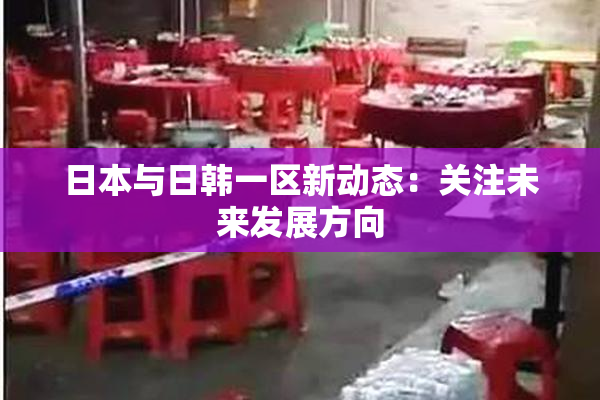 日本与日韩一区新动态：关注未来发展方向
