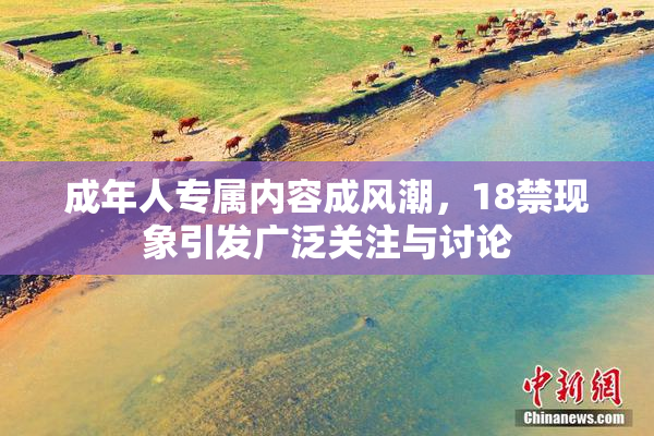 成年人专属内容成风潮，18禁现象引发广泛关注与讨论