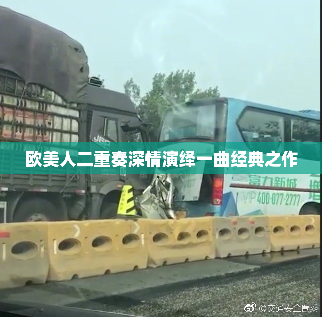 欧美人二重奏深情演绎一曲经典之作