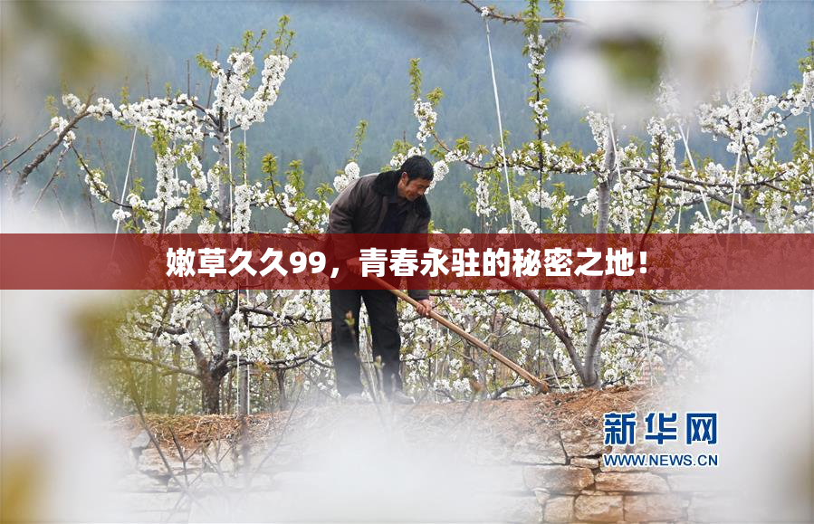 嫩草久久99，青春永驻的秘密之地！