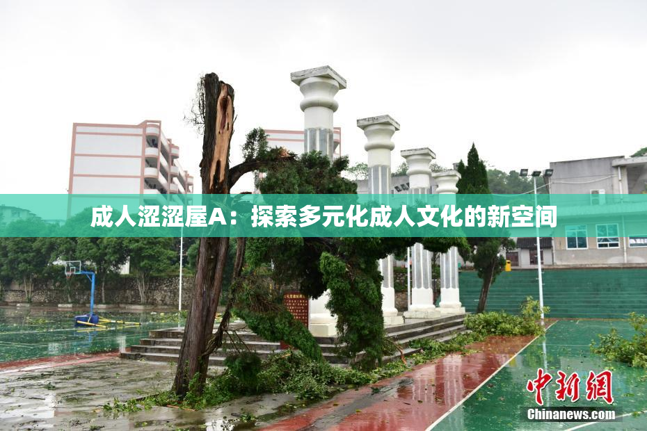 成人涩涩屋A：探索多元化成人文化的新空间