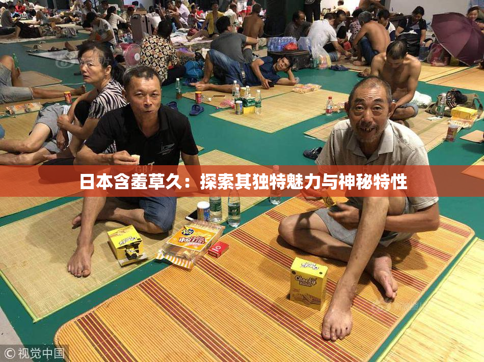 日本含羞草久：探索其独特魅力与神秘特性